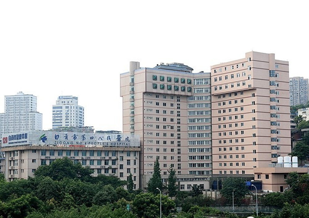 自貢市xx人民醫(yī)院機(jī)房監(jiān)控項目